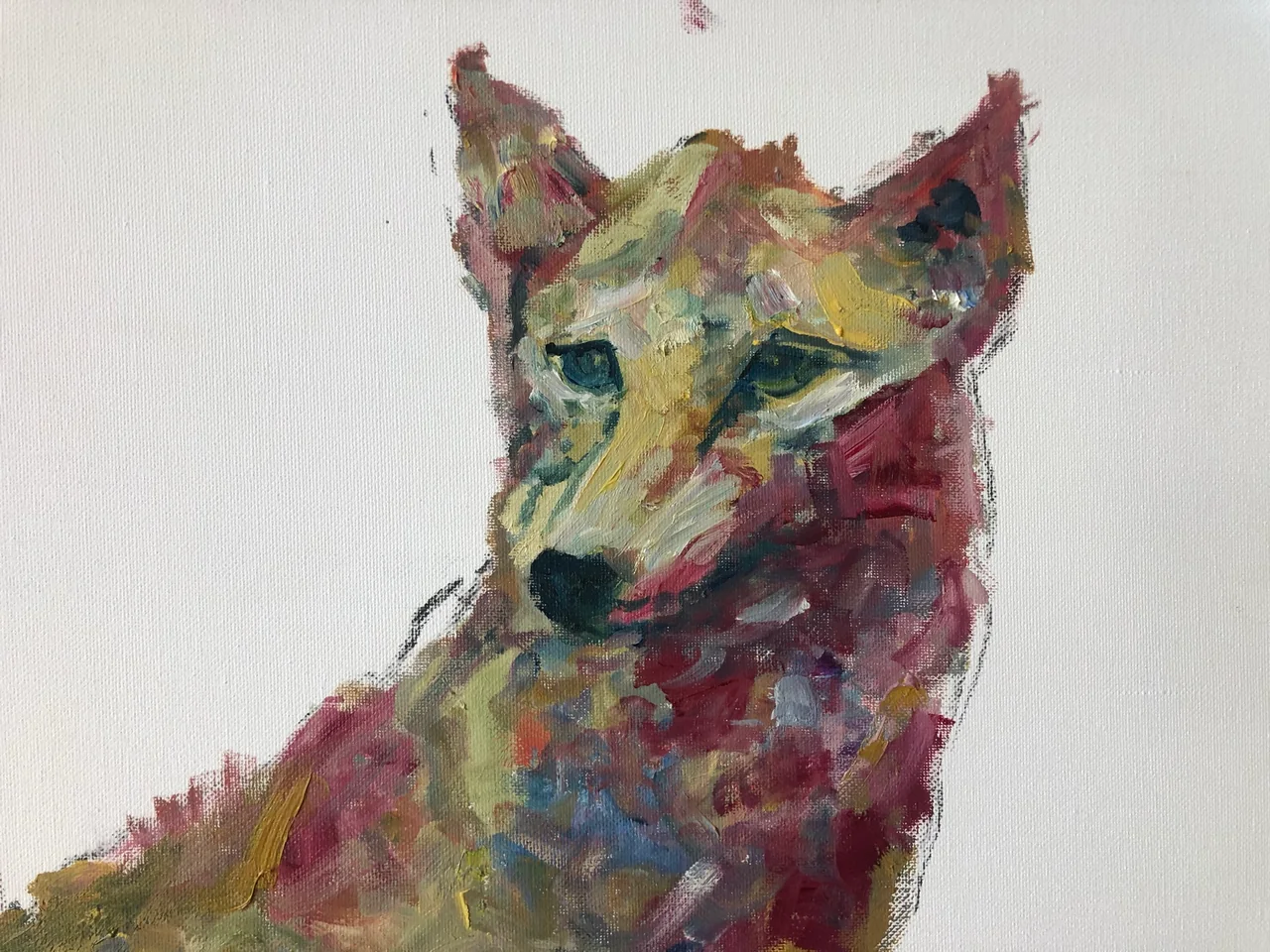 Kleurstudie van de wolf